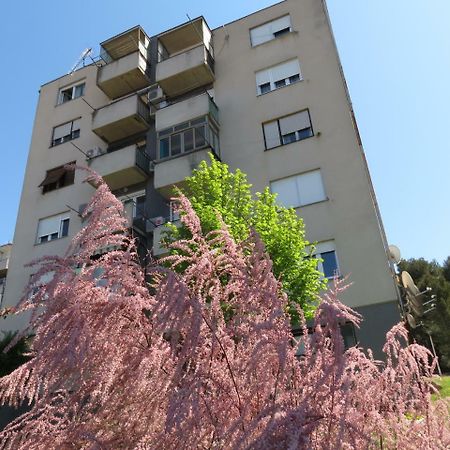 דירות PUY Pineta25 מראה חיצוני תמונה